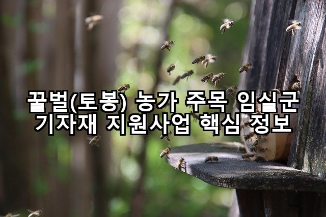 꿀벌(토봉) 농가 주목 임실군 기자재 지원사업 핵심 정보